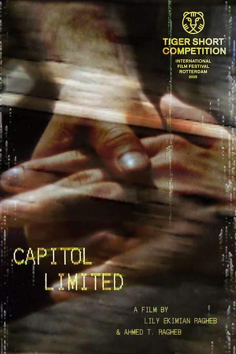 A wedding celebration and an Amtrak train journey unexpectedly become linked in this exploration of marriage and modern American life. The narrative intertwines a personal event with a larger story involving a train route and a tragic incident, all unfolding within a concise two-minute runtime. Despite its brevity, the film delivers a powerful impact and is based on true events, showcasing remarkable cinematic skill.